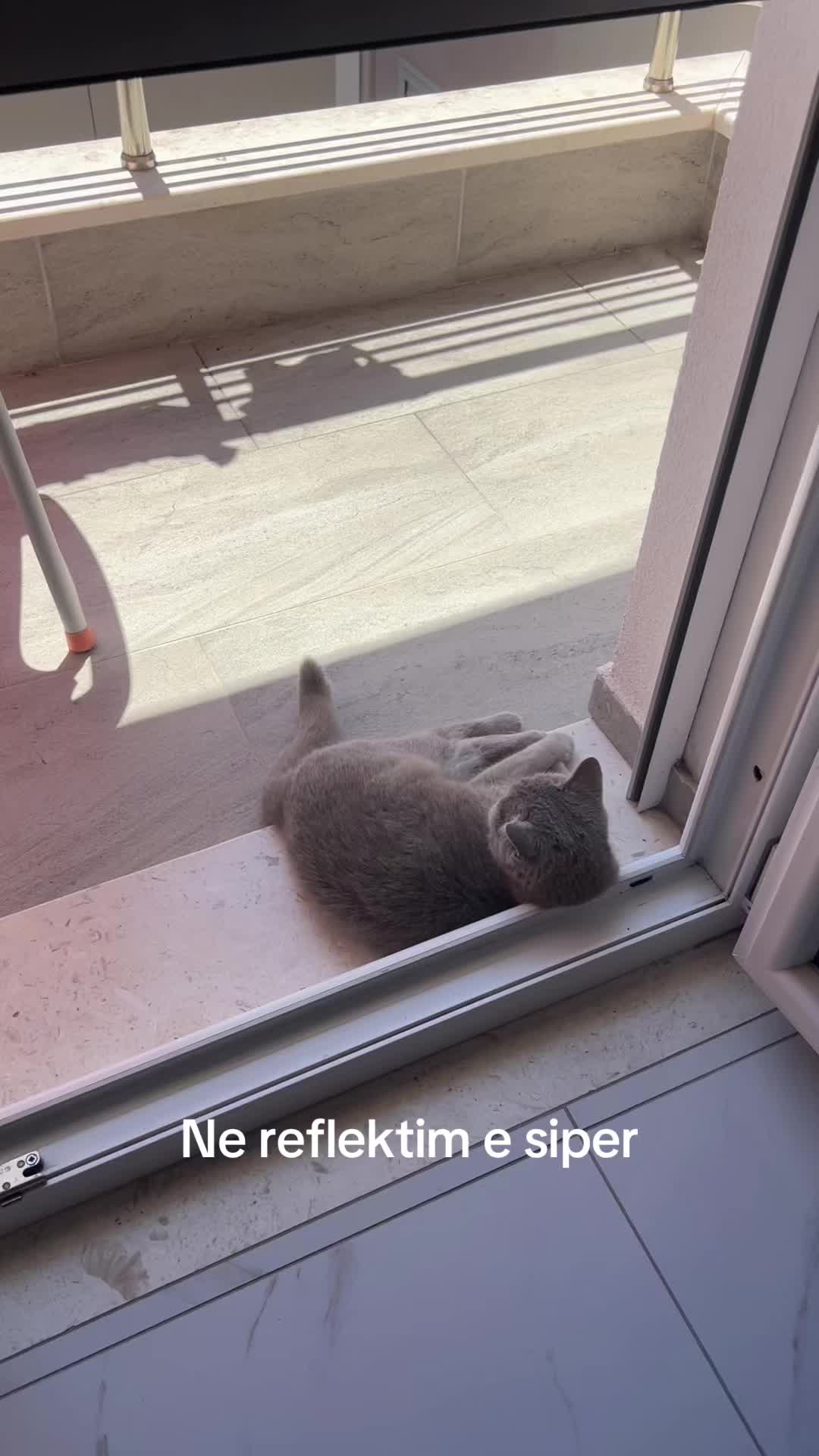 @matchaathecat