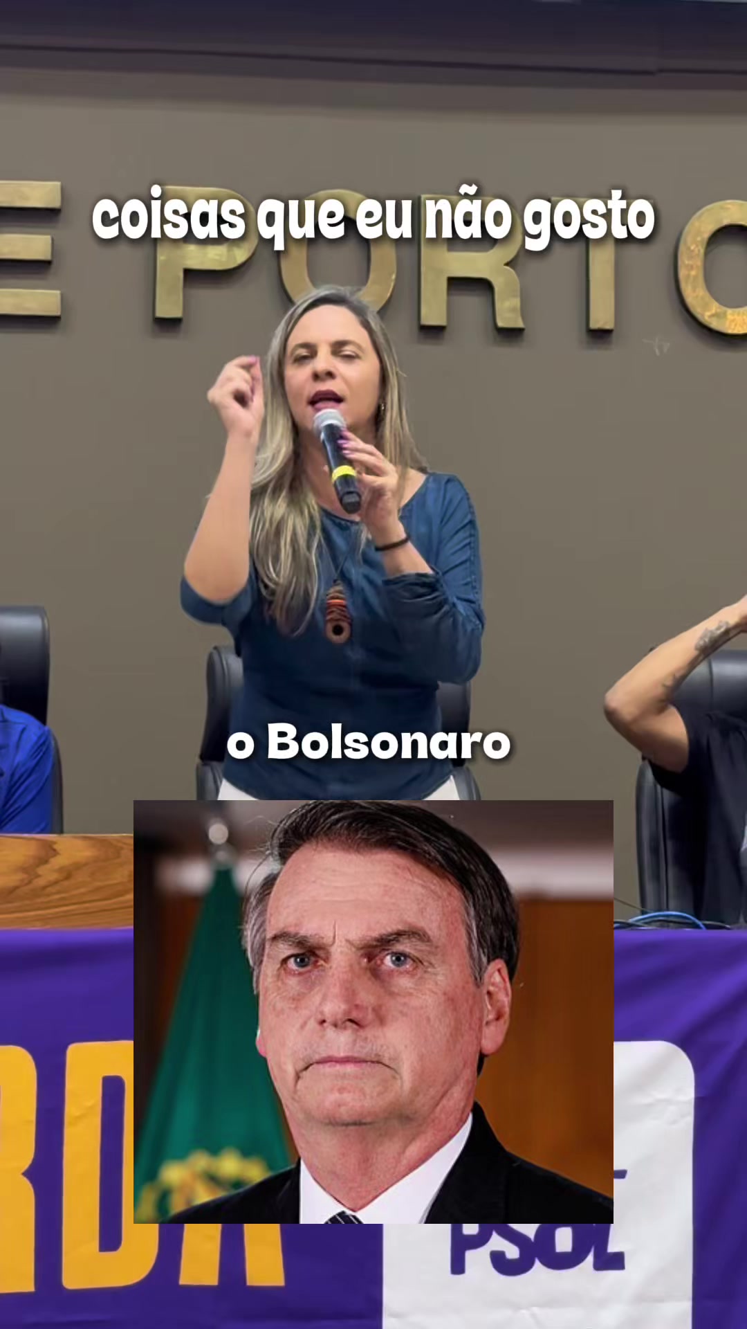 @Fernanda Melchionna