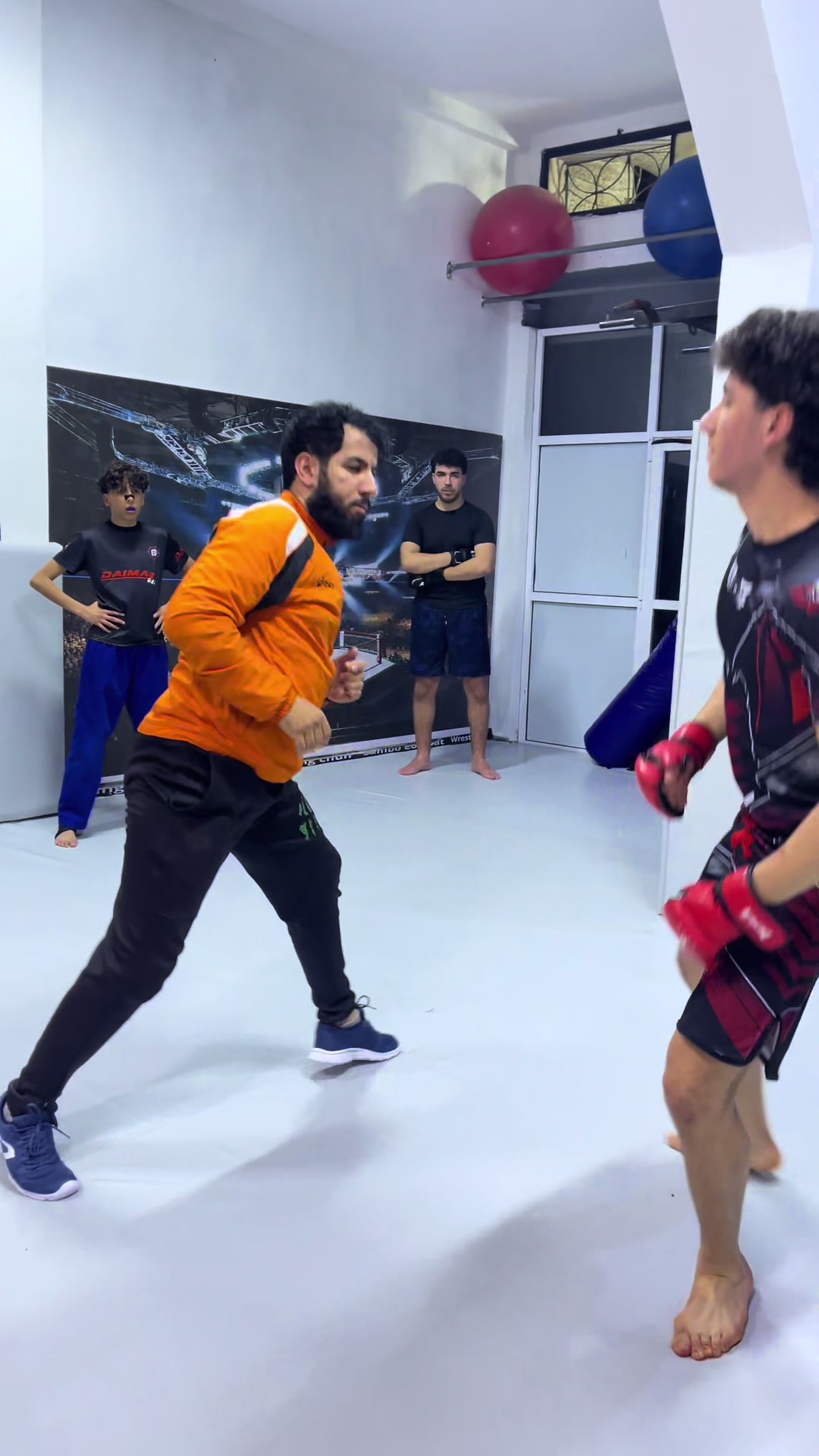 @daimar.academy