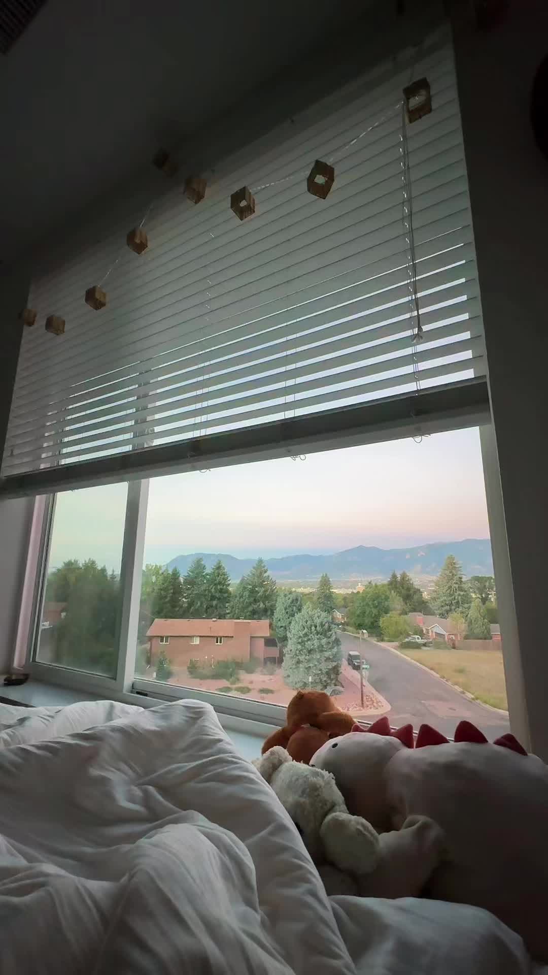 @ripmimi
