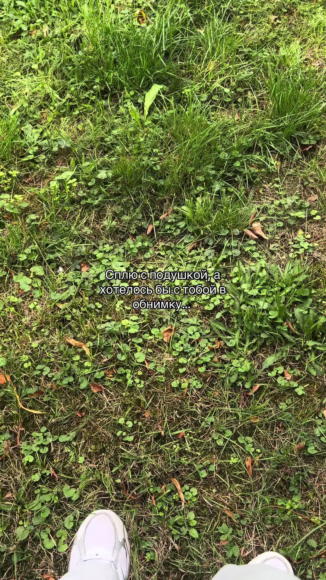 @ice_quote