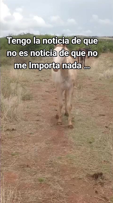@Reyes