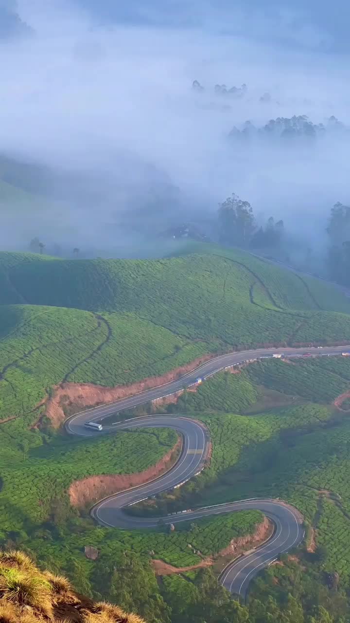@Thahir Thalu