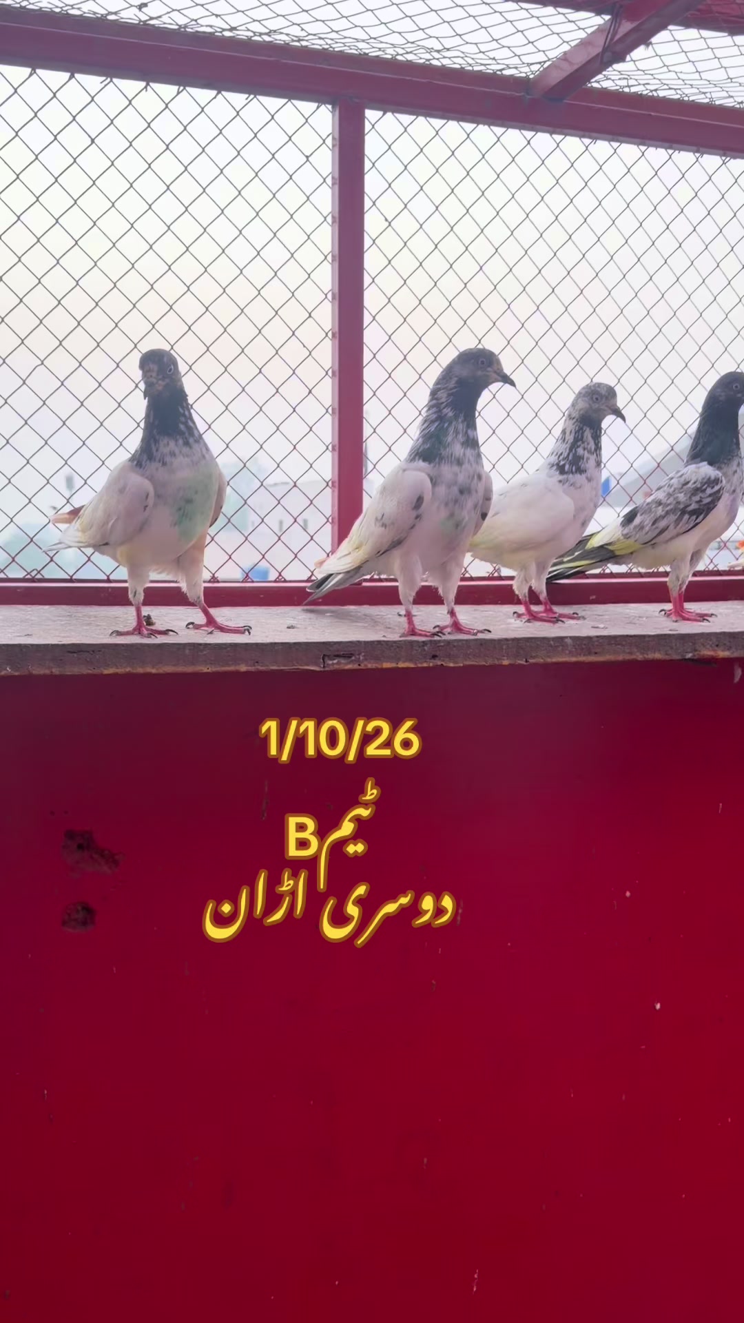 @Hassan Lali