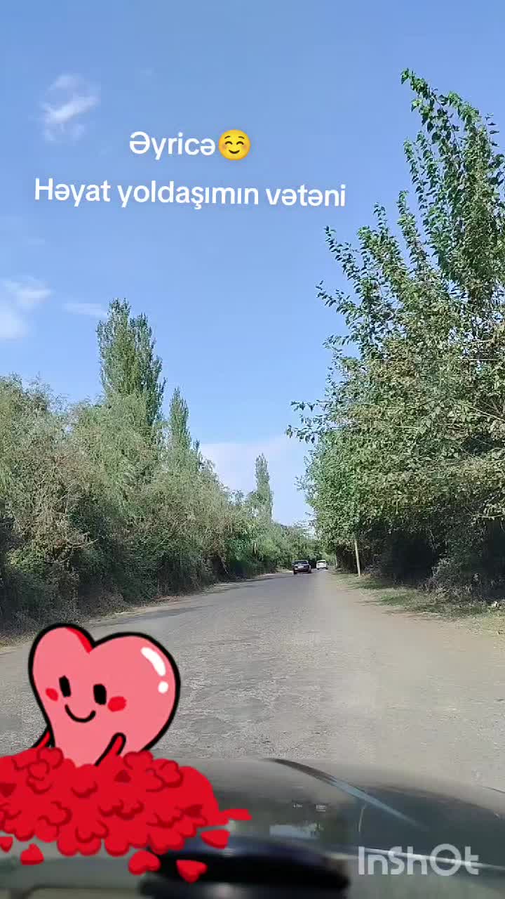 @berde_tort_sifarisi_A.Knyaz.q