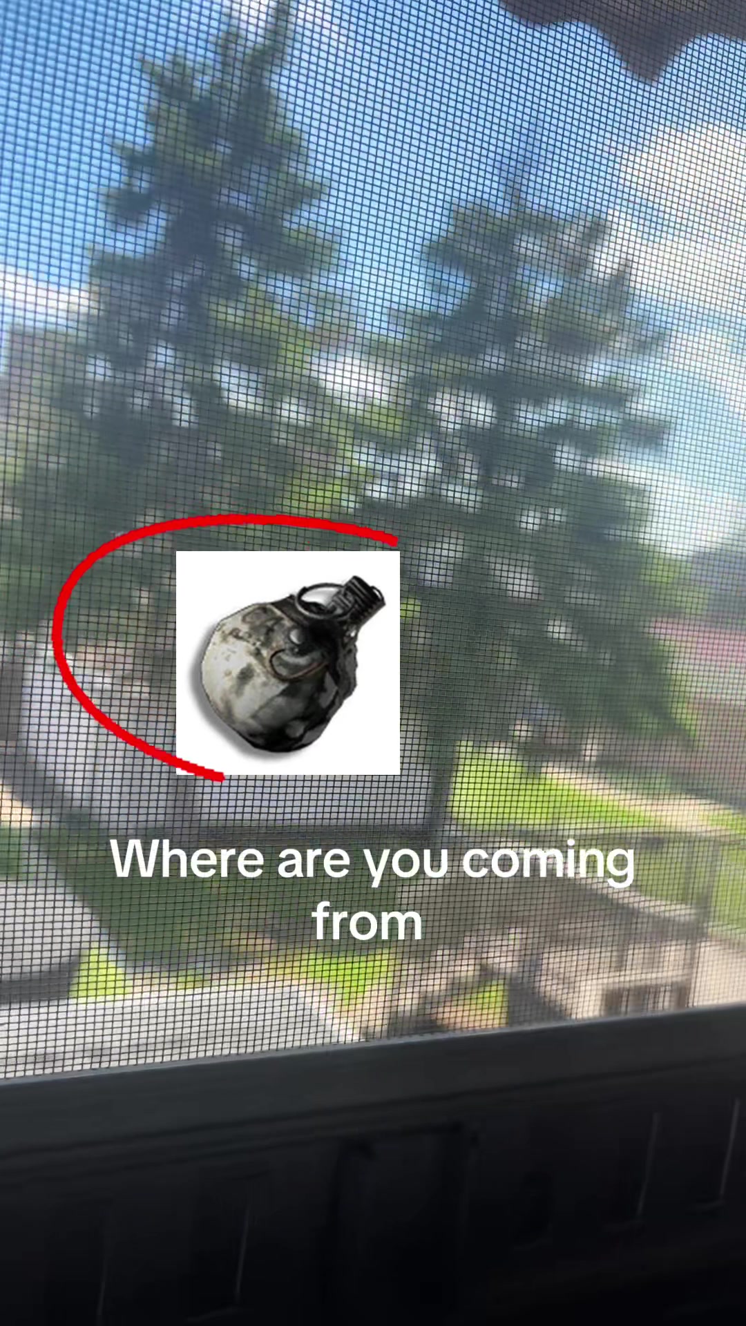 @noahdc_