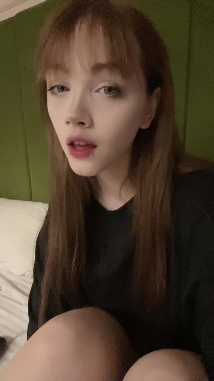 @лацертида