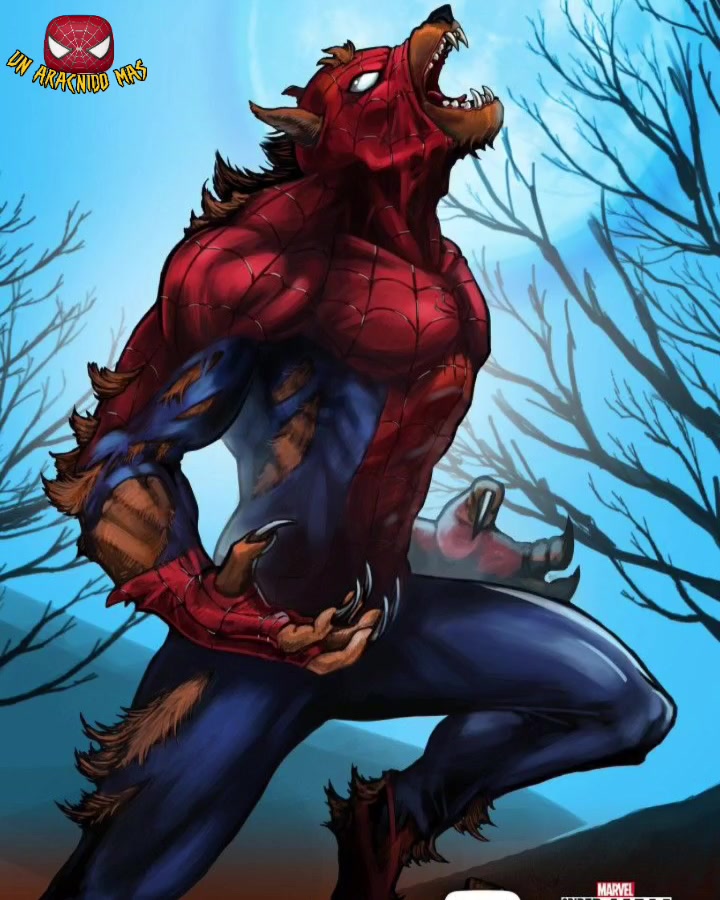 @Un Arácnido Más🕷️