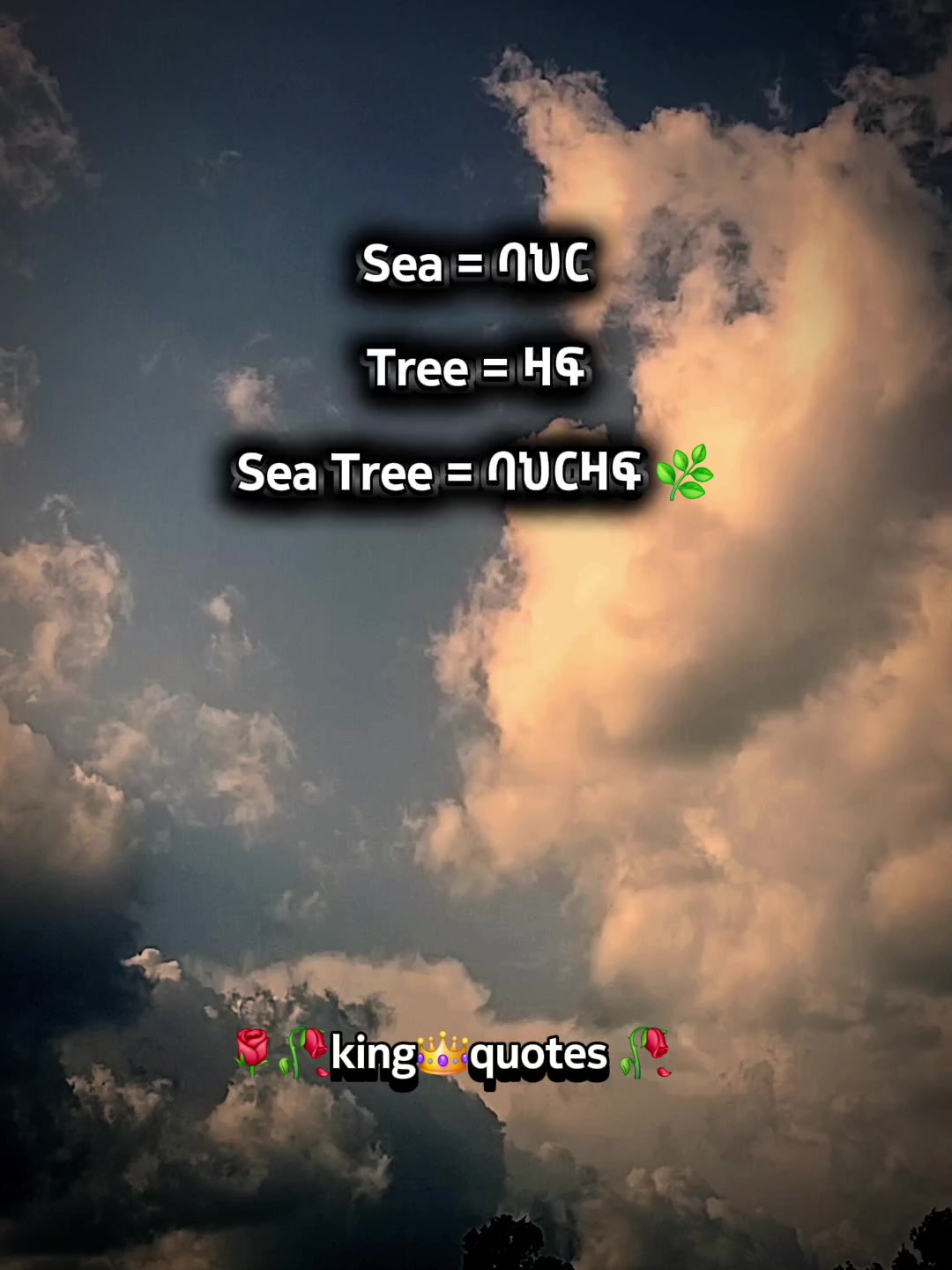@๐น๐พking๐ quote's ๐ฅ๐ฅ
