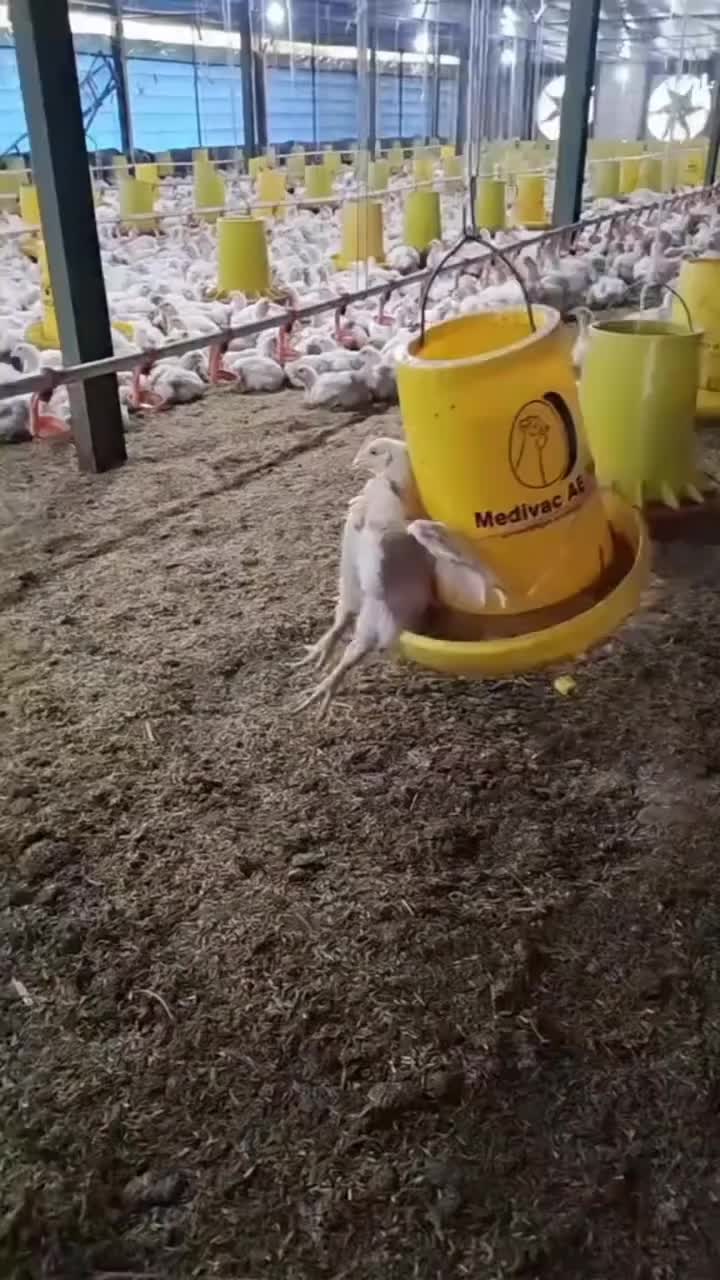@F1r3w4ll