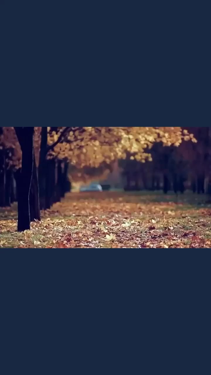 @aynur Kocakaya 280.🤲