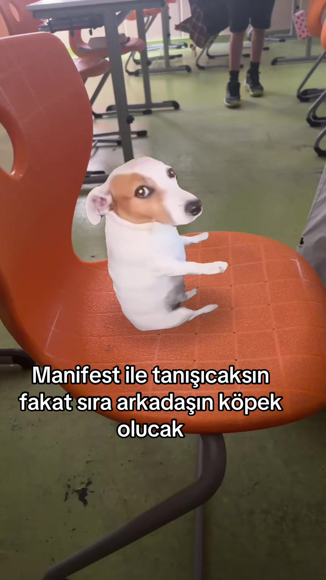 @Mira K&uuml;&ccedil;&uuml;kel