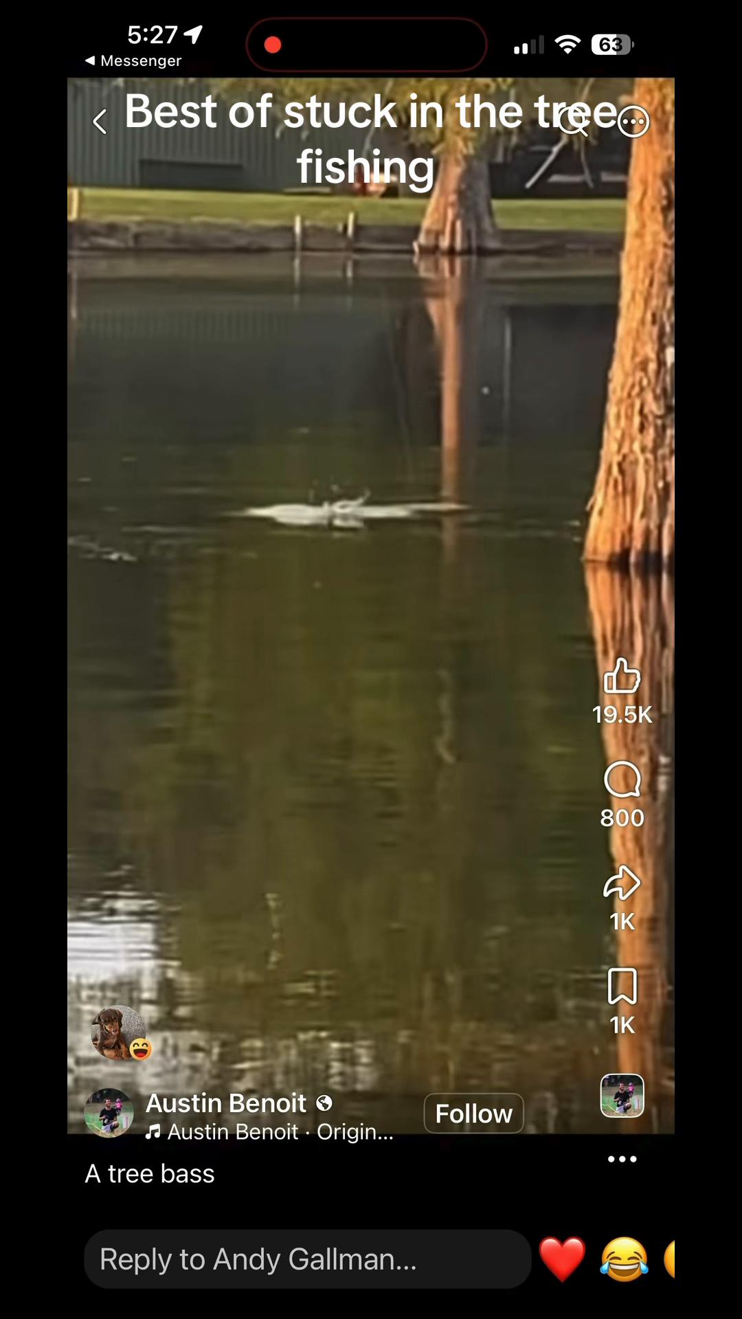 @STUCKINTHETREEFISHING