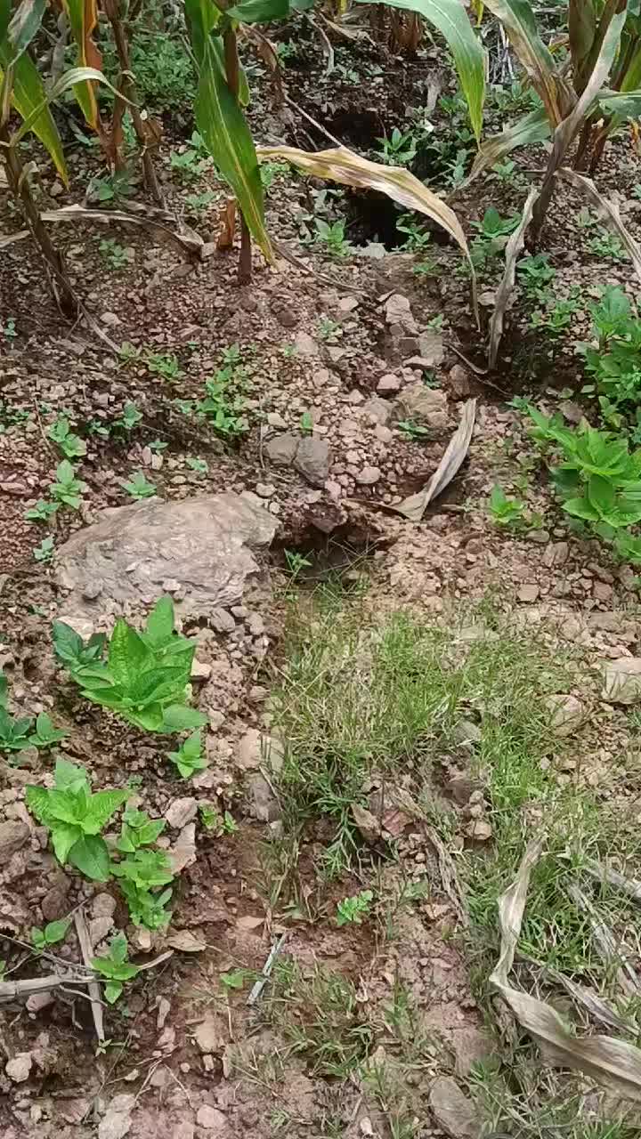 @CHẬM LẠI MỘT CH&Uacute;T🍀