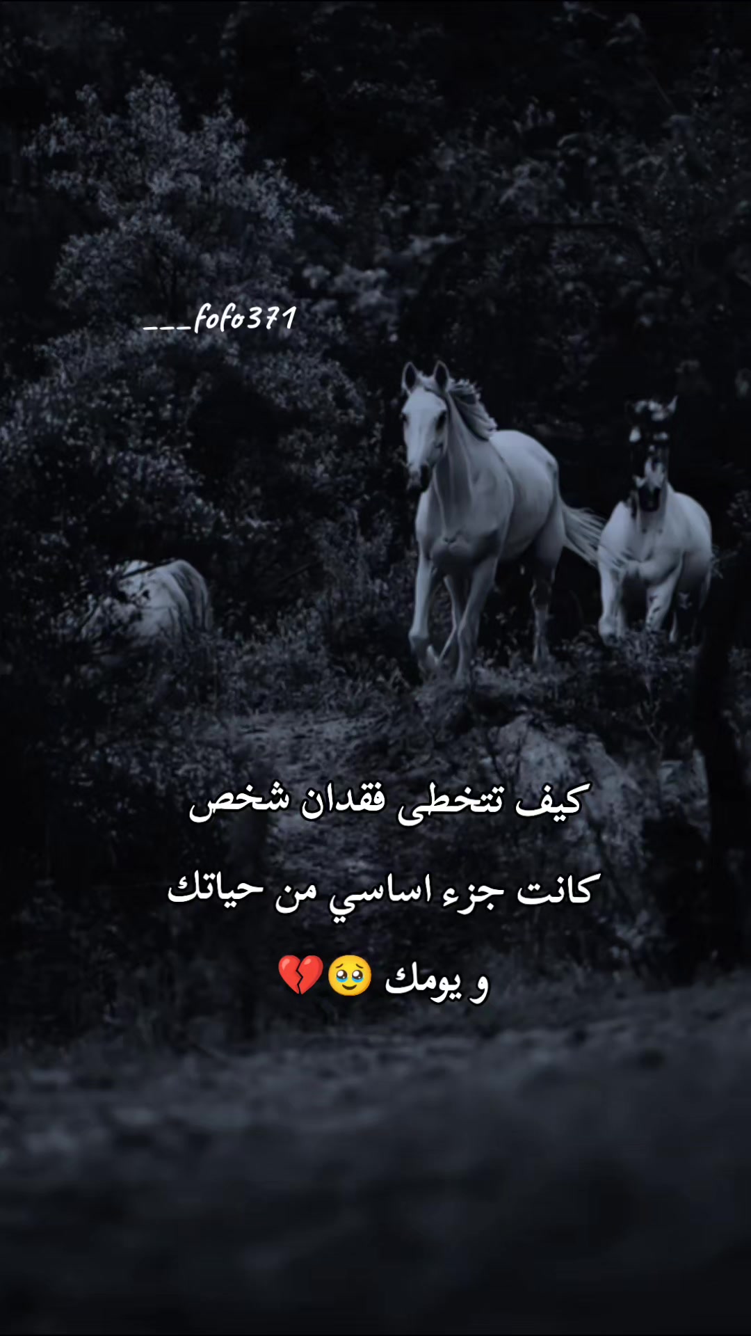 @فـ❣ـہوُفـ❣ـہوُ || ℱ𝒪 ℱ𝒪🤍