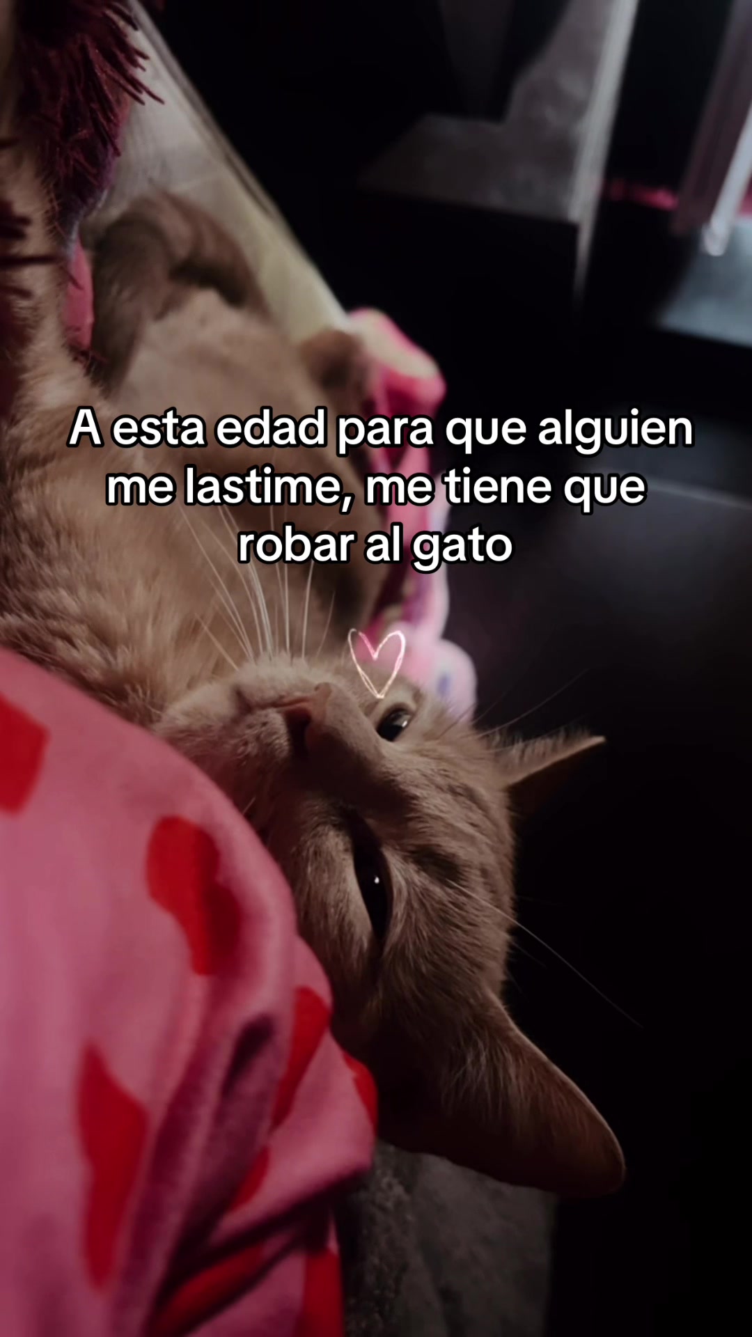 @Paola Granados ✨