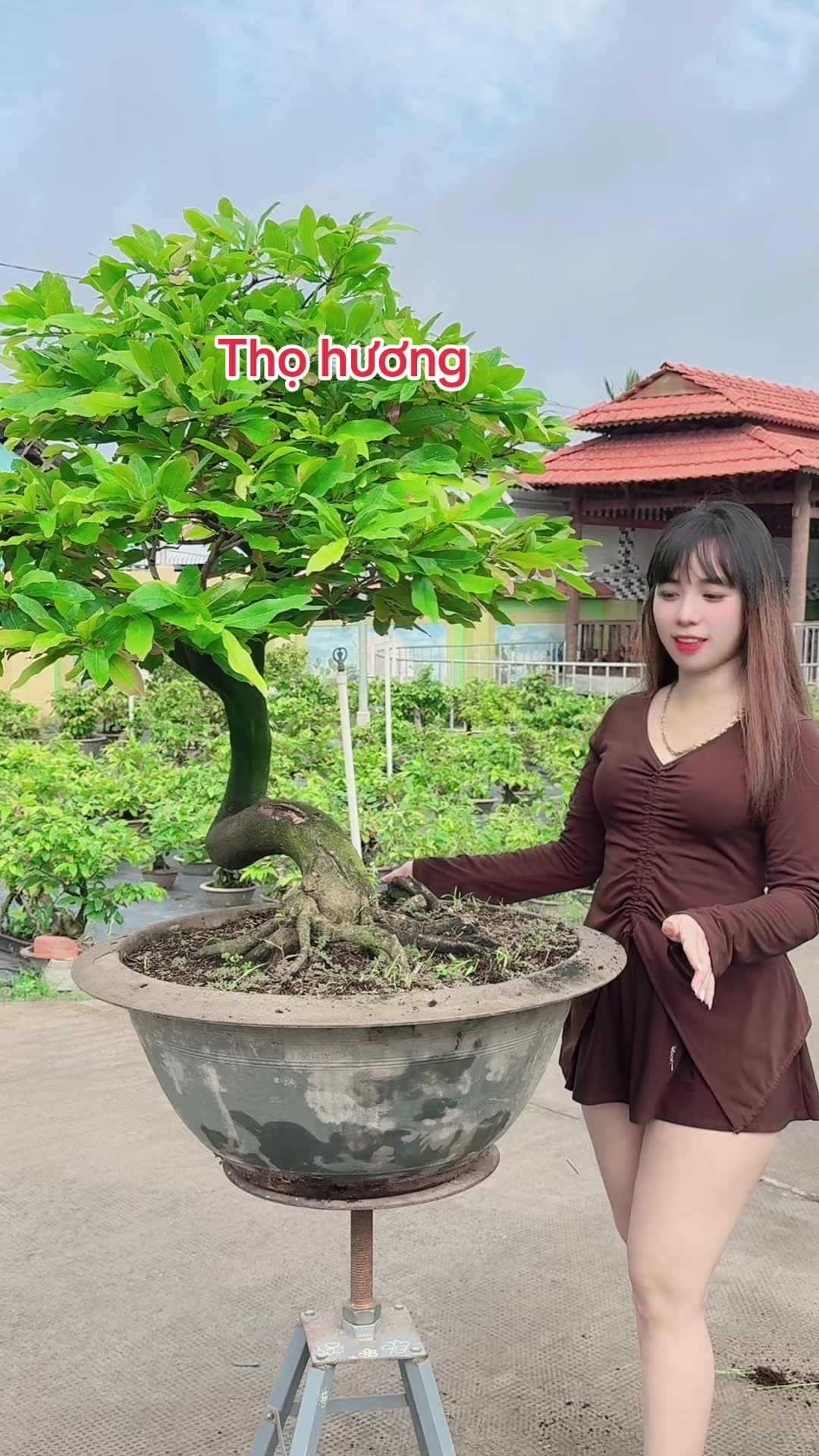 @Chichchoebong79