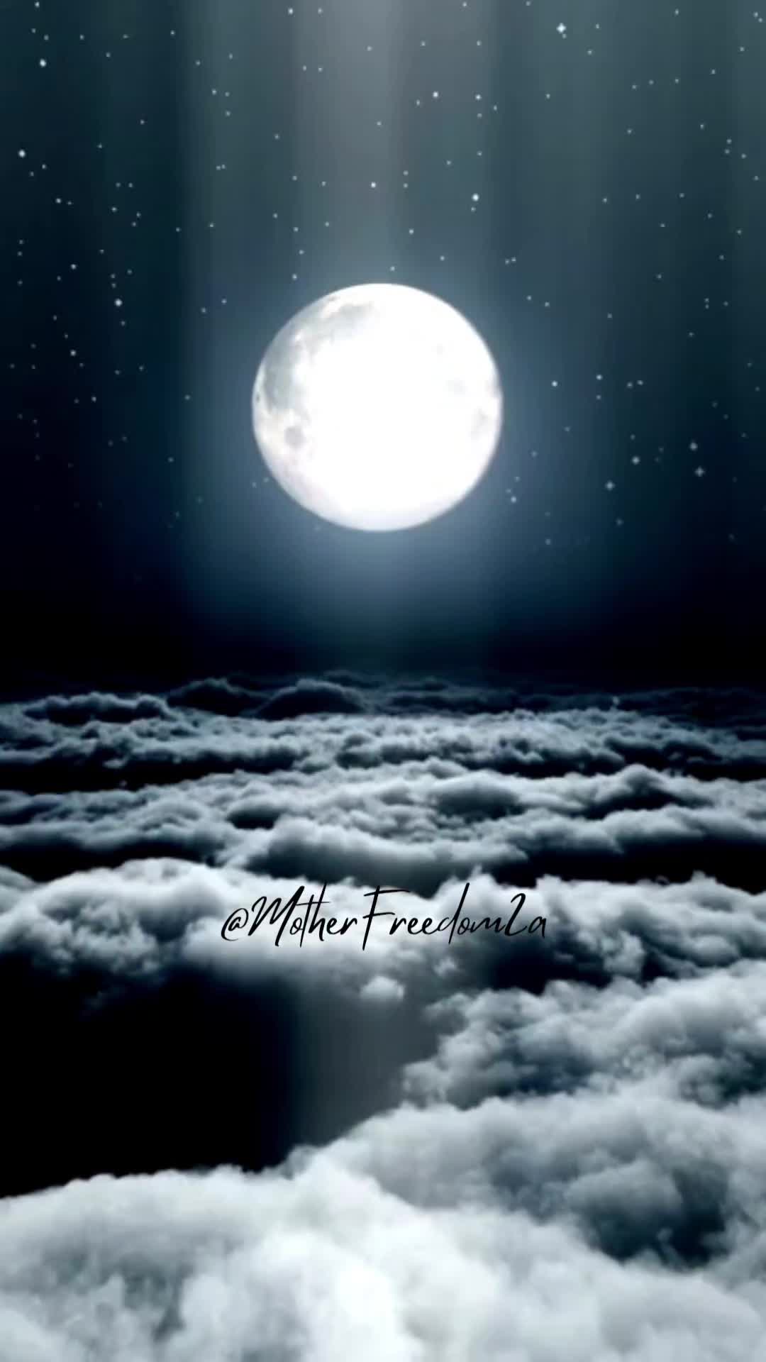 @MotherFreedom