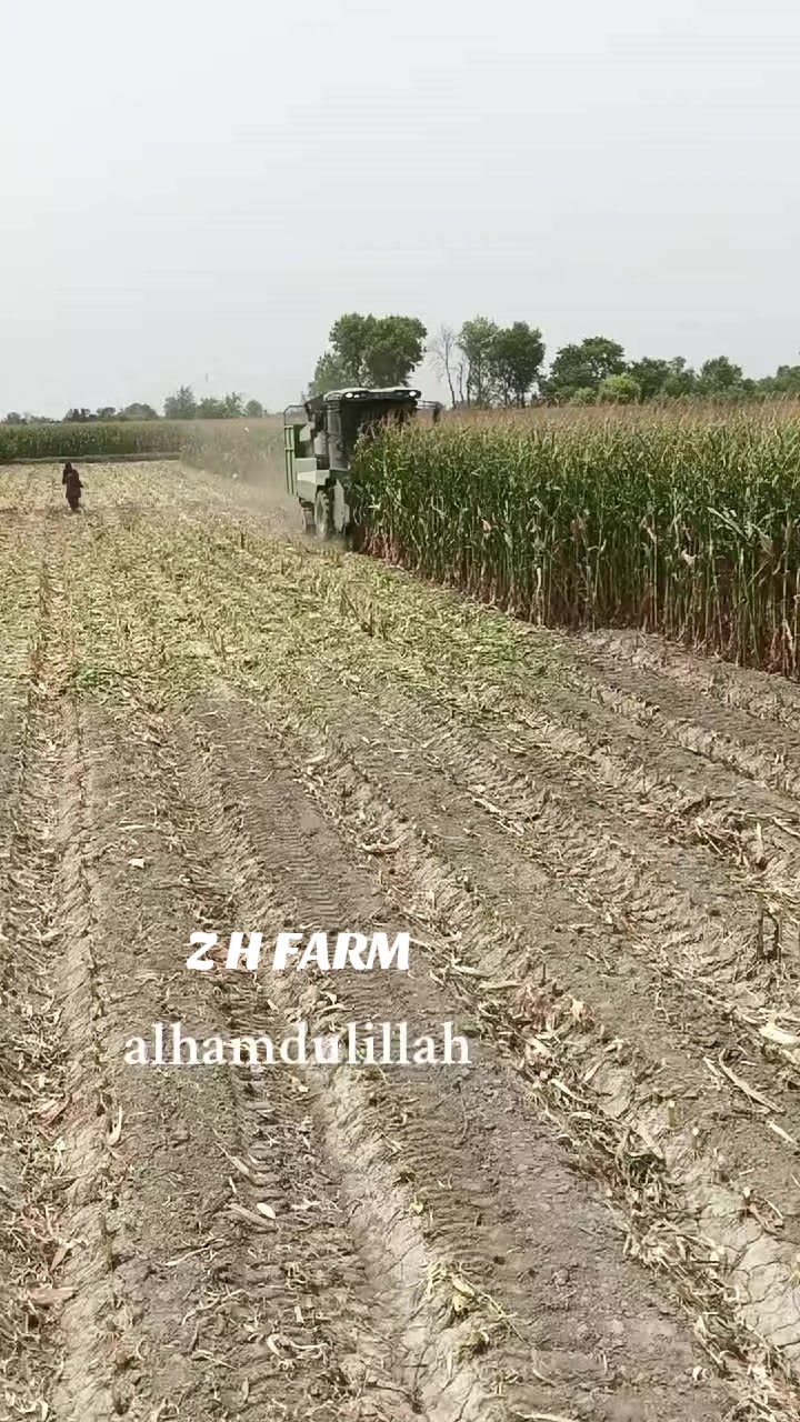@💚 ذیشان ہنجرا 💚