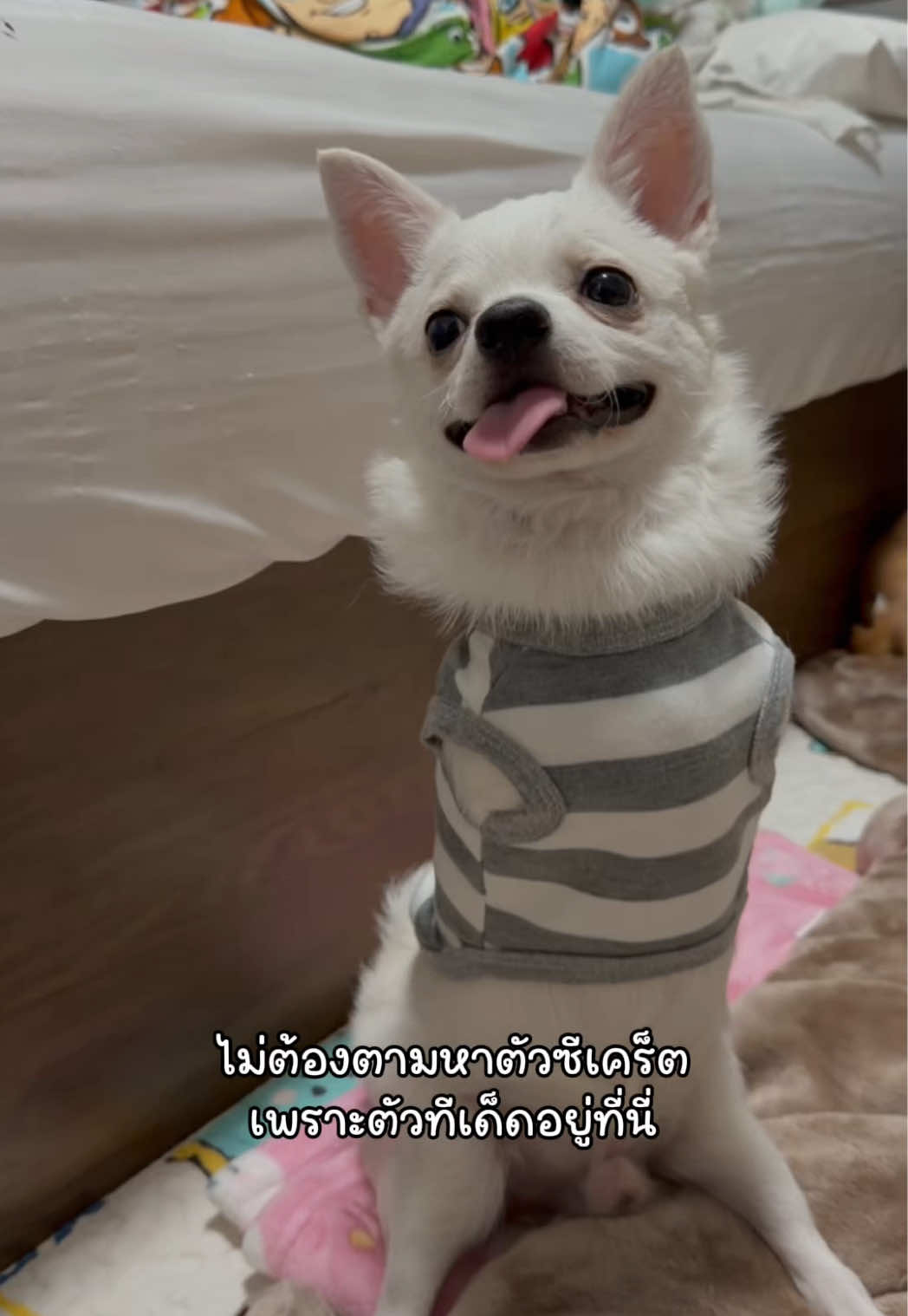 @ผมชื่อเฟิร์บ
