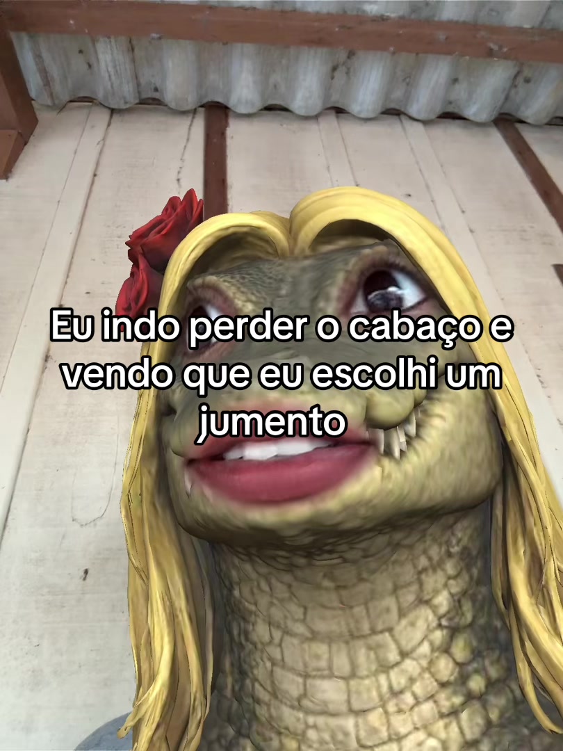 @cuca_da_mata
