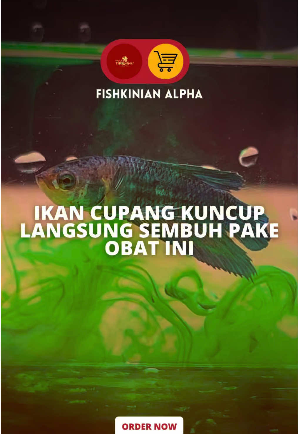 @Fishkinian Alpha1