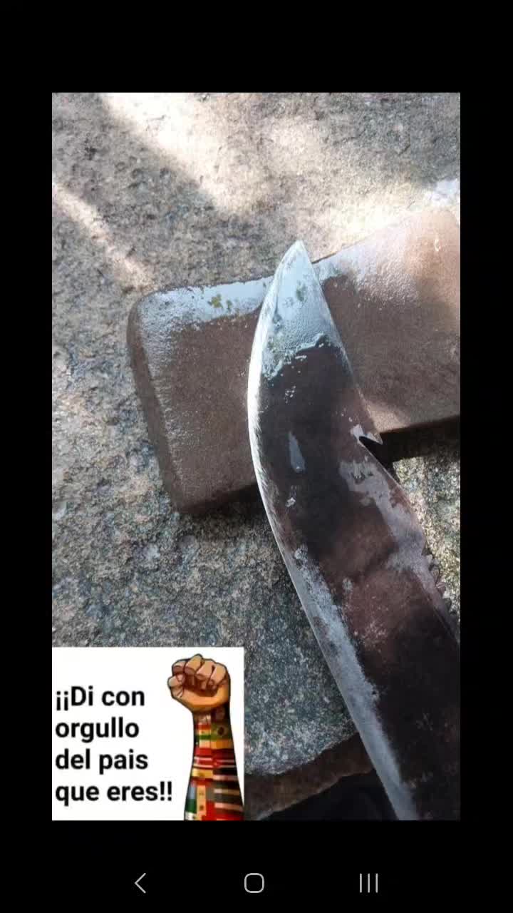 @Marcelo Neri