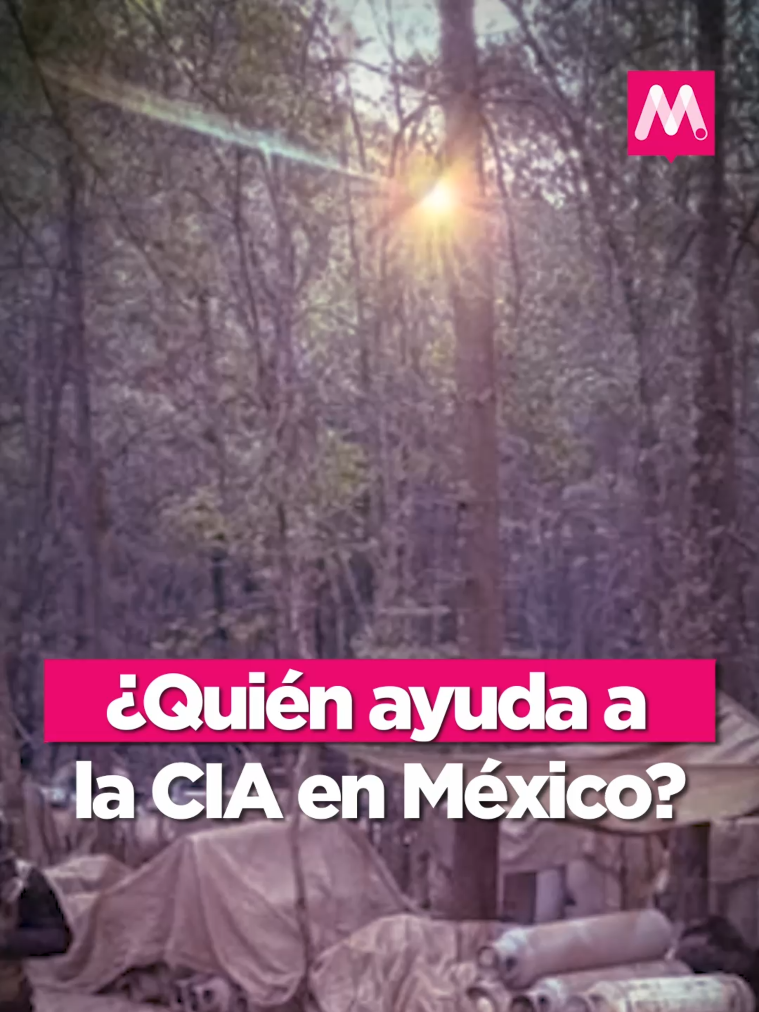 @Código Magenta