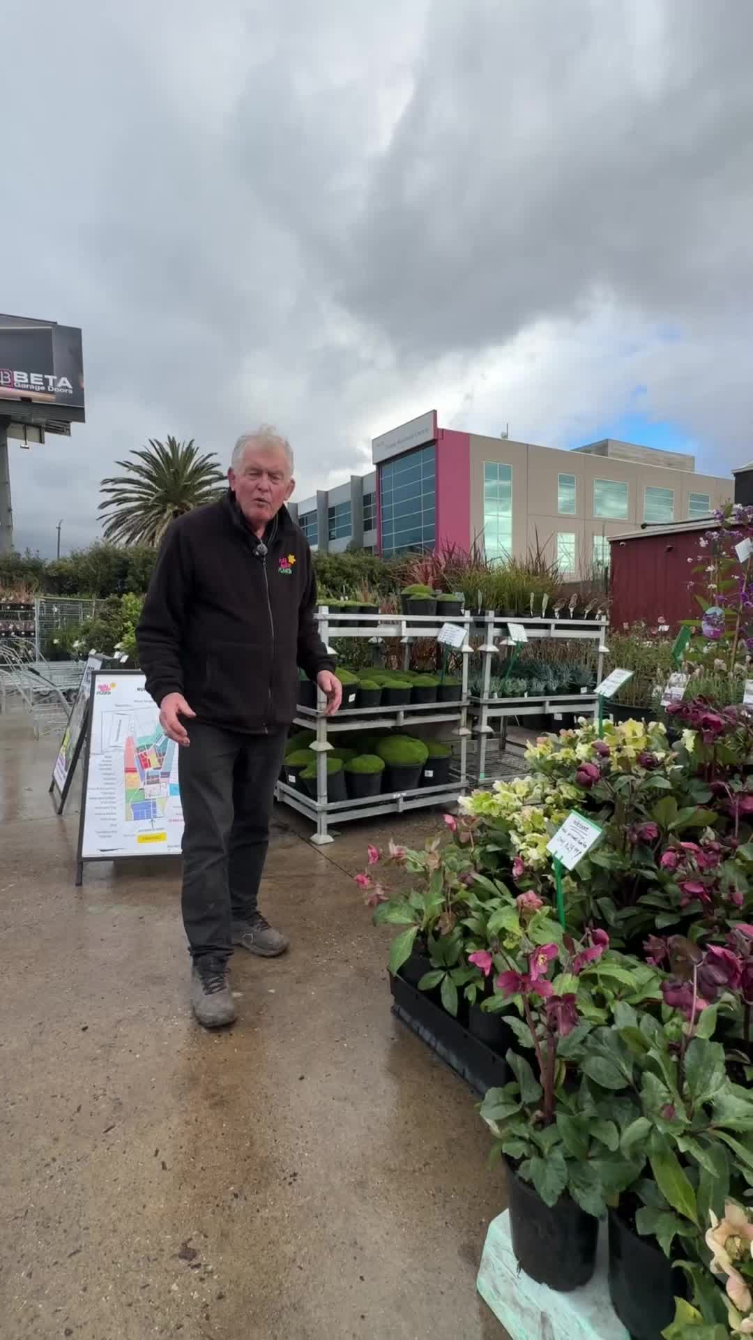 @Hello Hello Plants Nursery