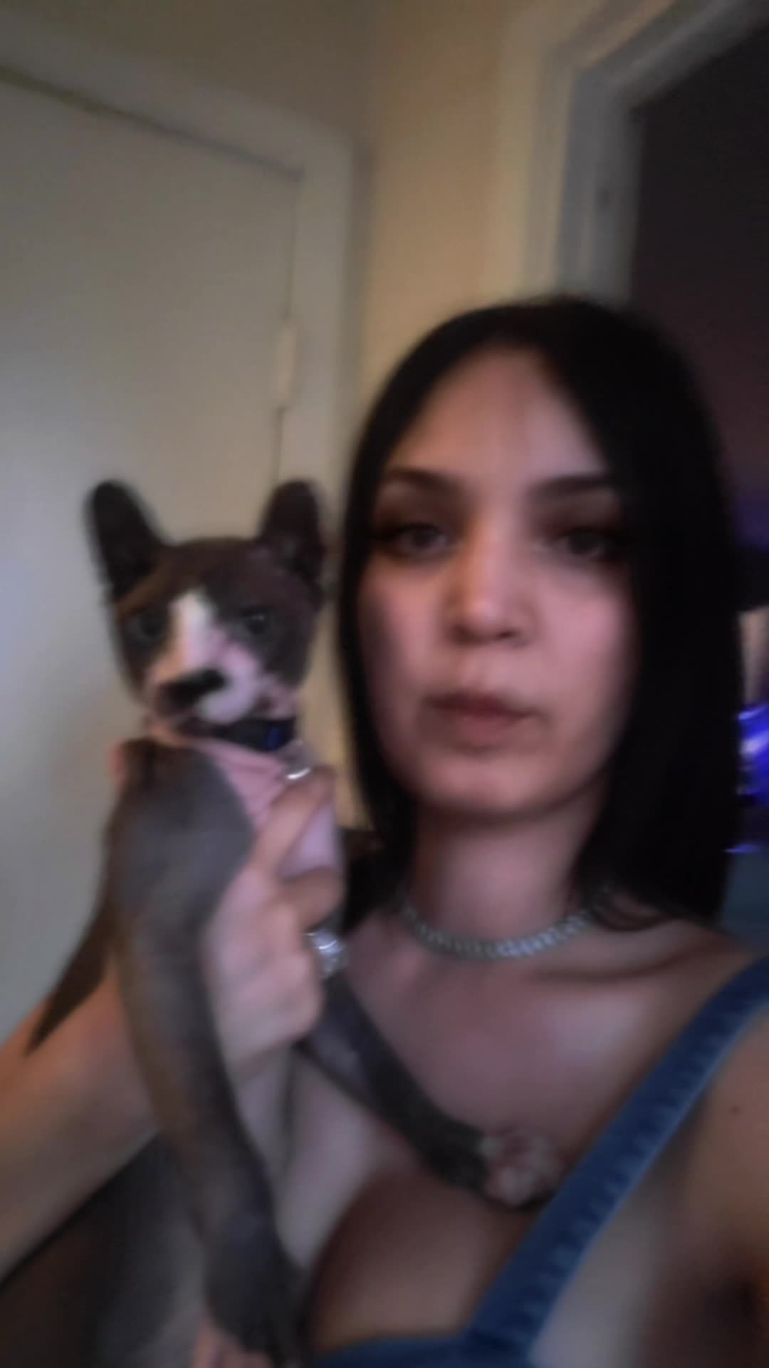 @Rimceh