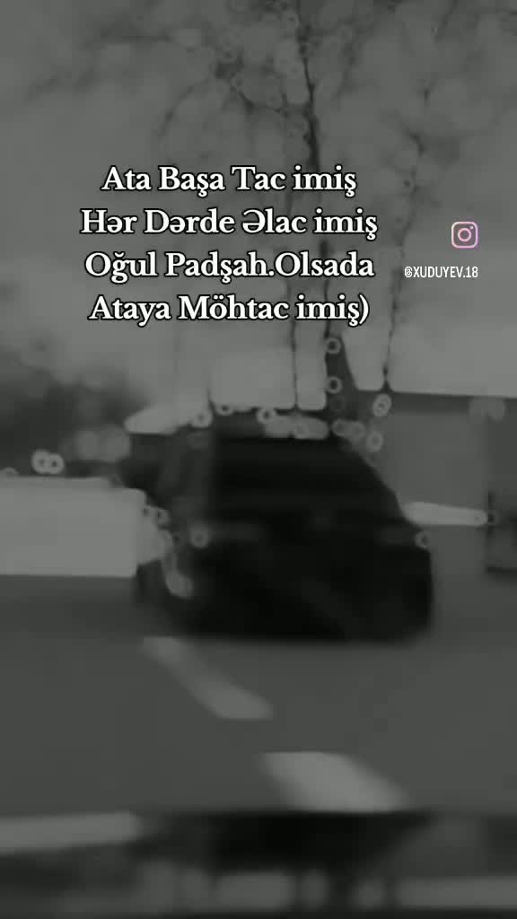 @⚜️اسد بني معروف ⚜️
