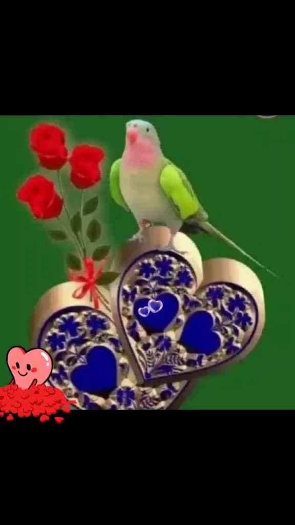 @Fatma Mskan