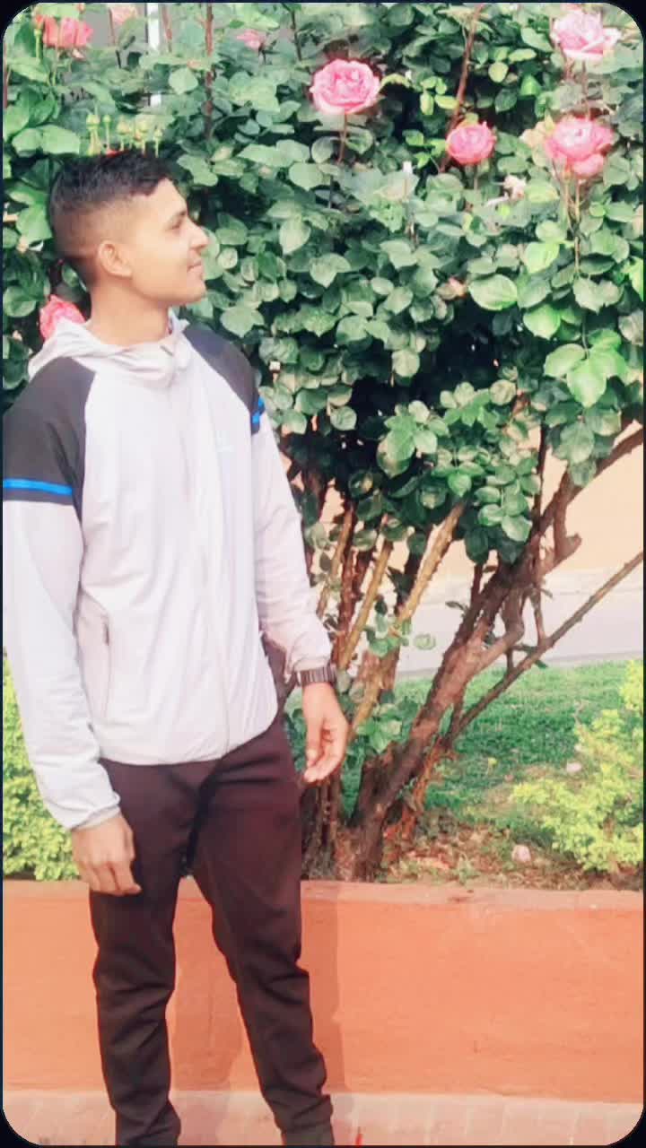 @❤️Bibekkajal❤️