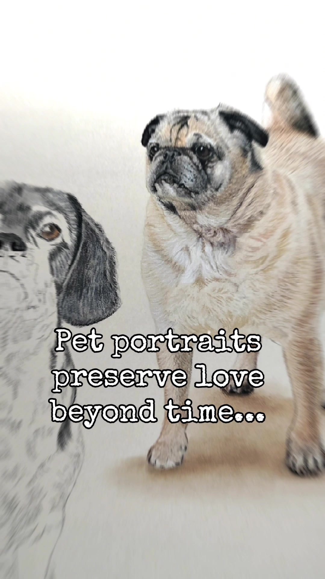 @Paw Prints Pet Art