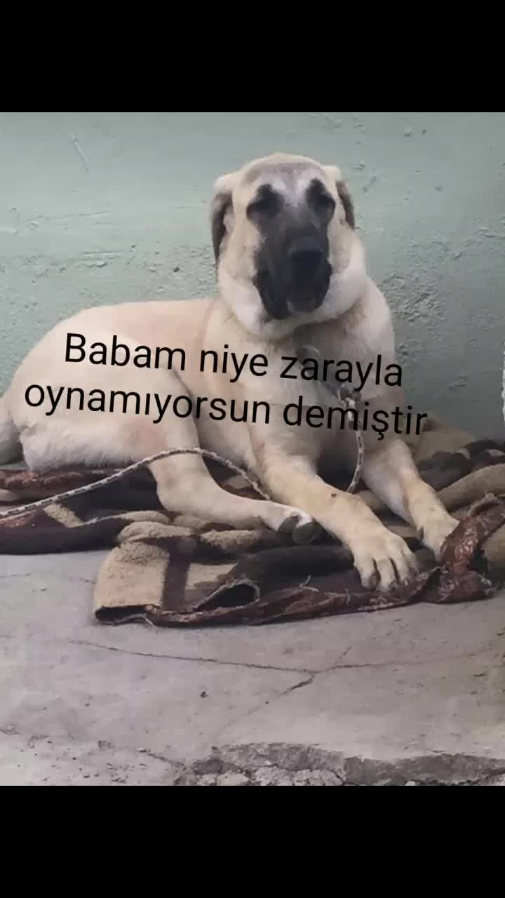 @Çumralı hasan
