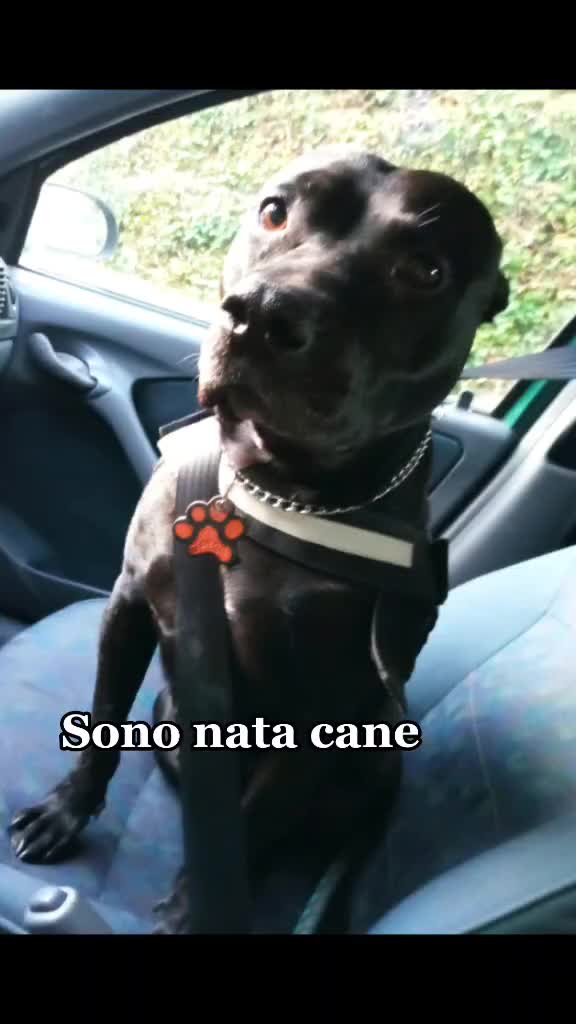@Alessia Comparone