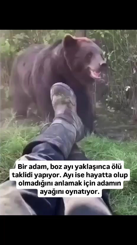 @Selçuk Tuna 🐈⬛