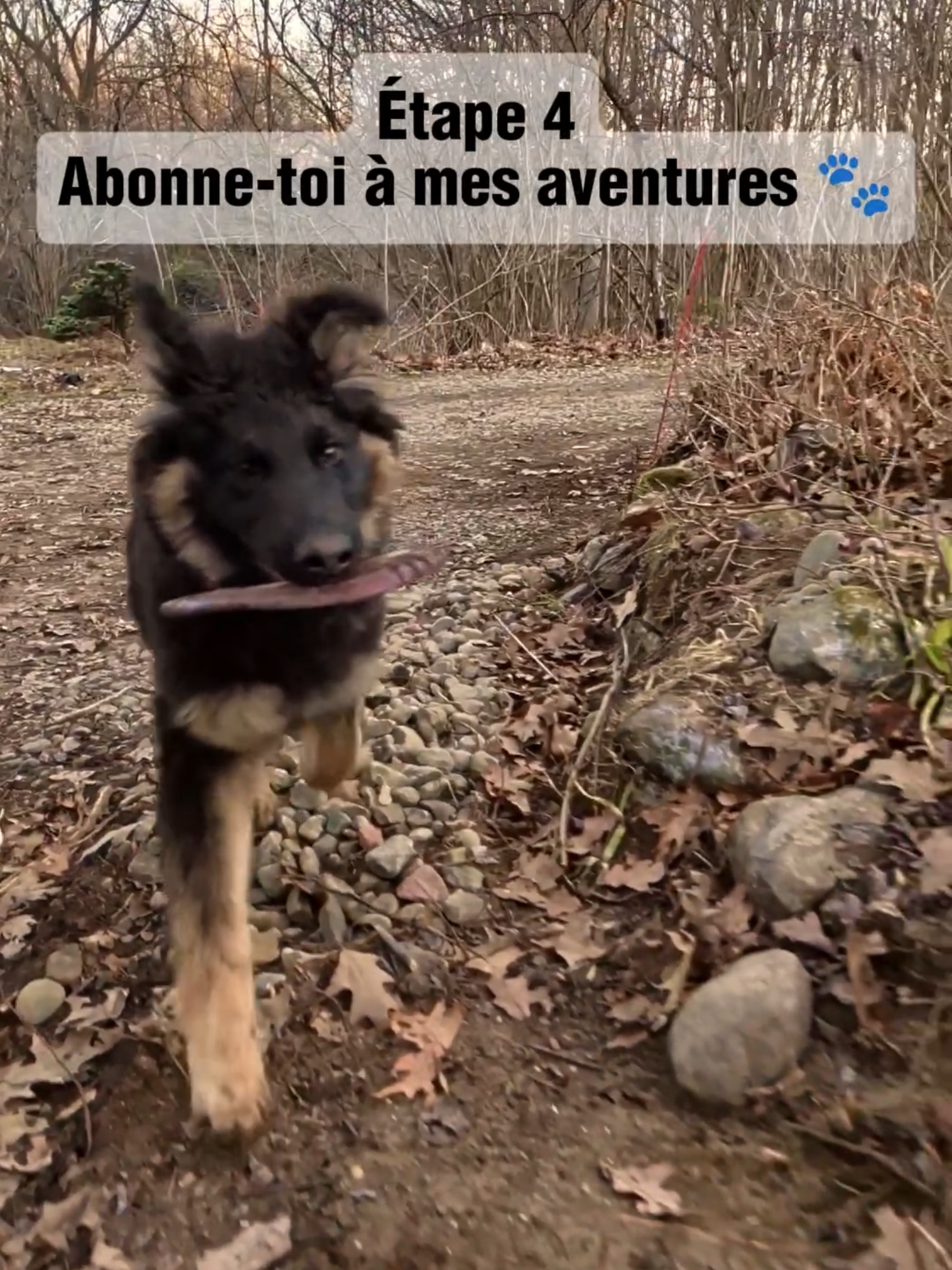 @TrailCam Qu&eacute;bec