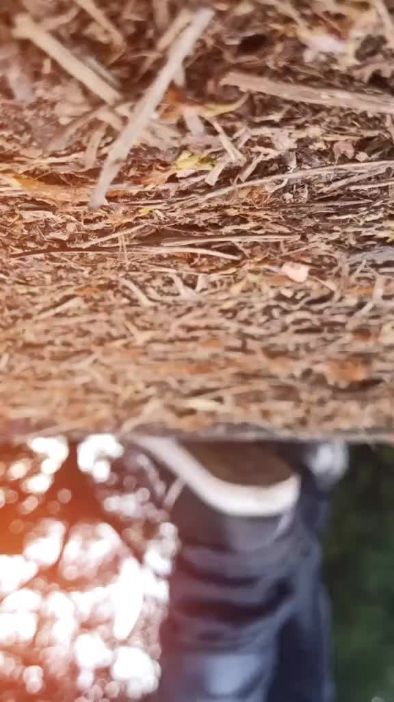 @user39014736567