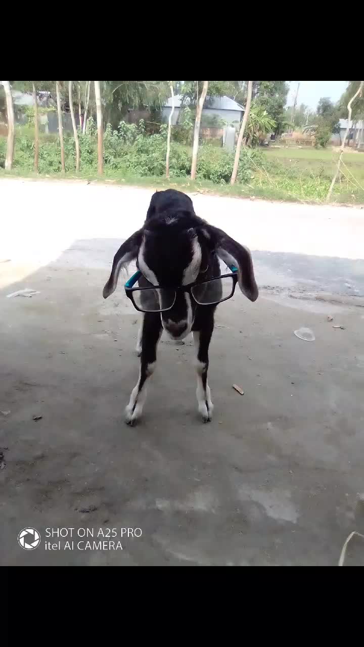 @MD Arman Hoseen