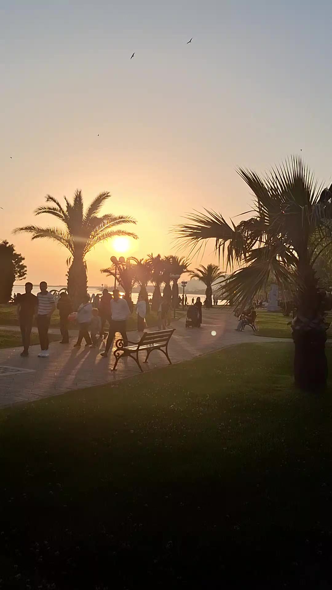 @Pınar yurdusever