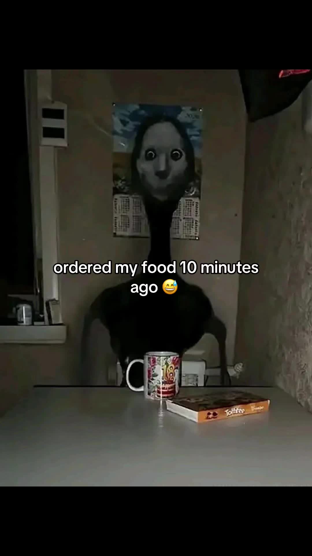 @rexv3