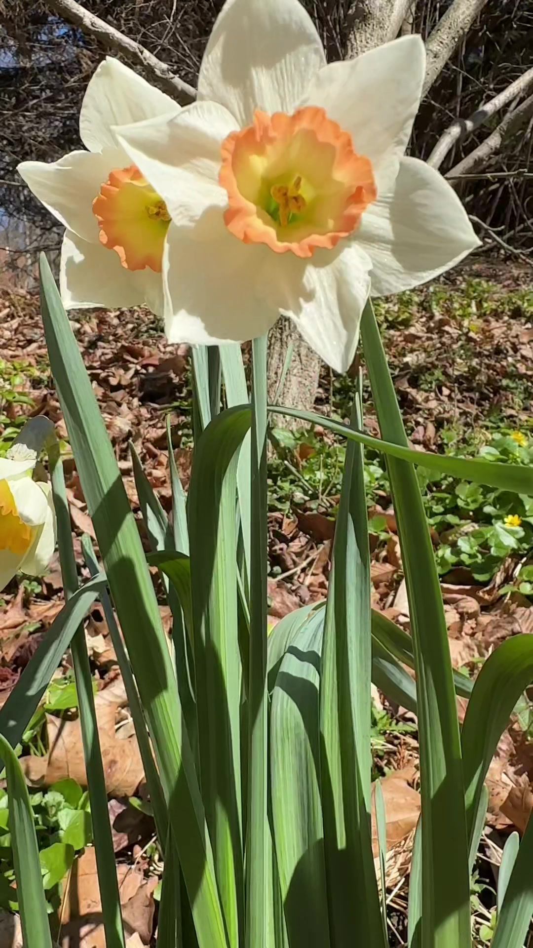 @Ellicott City Pix