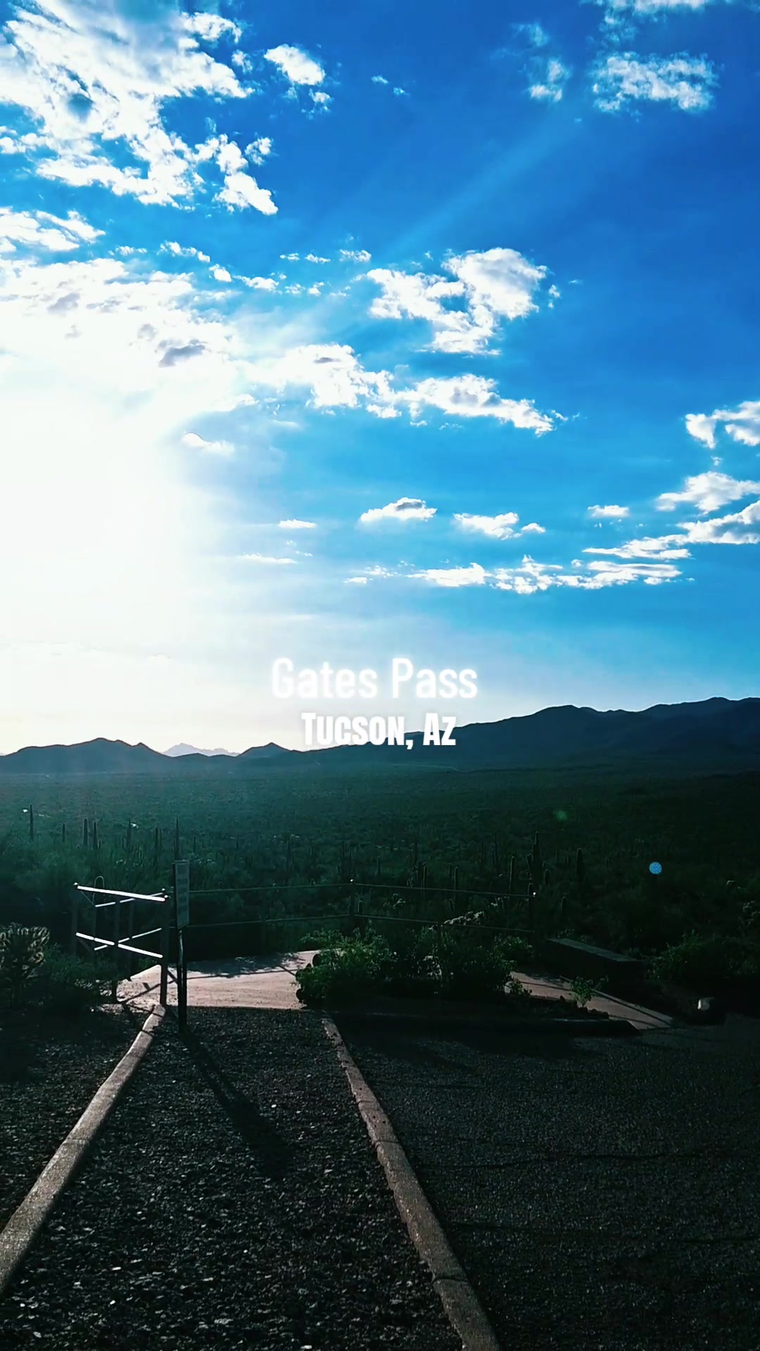 @DesertQueen🌵🐓