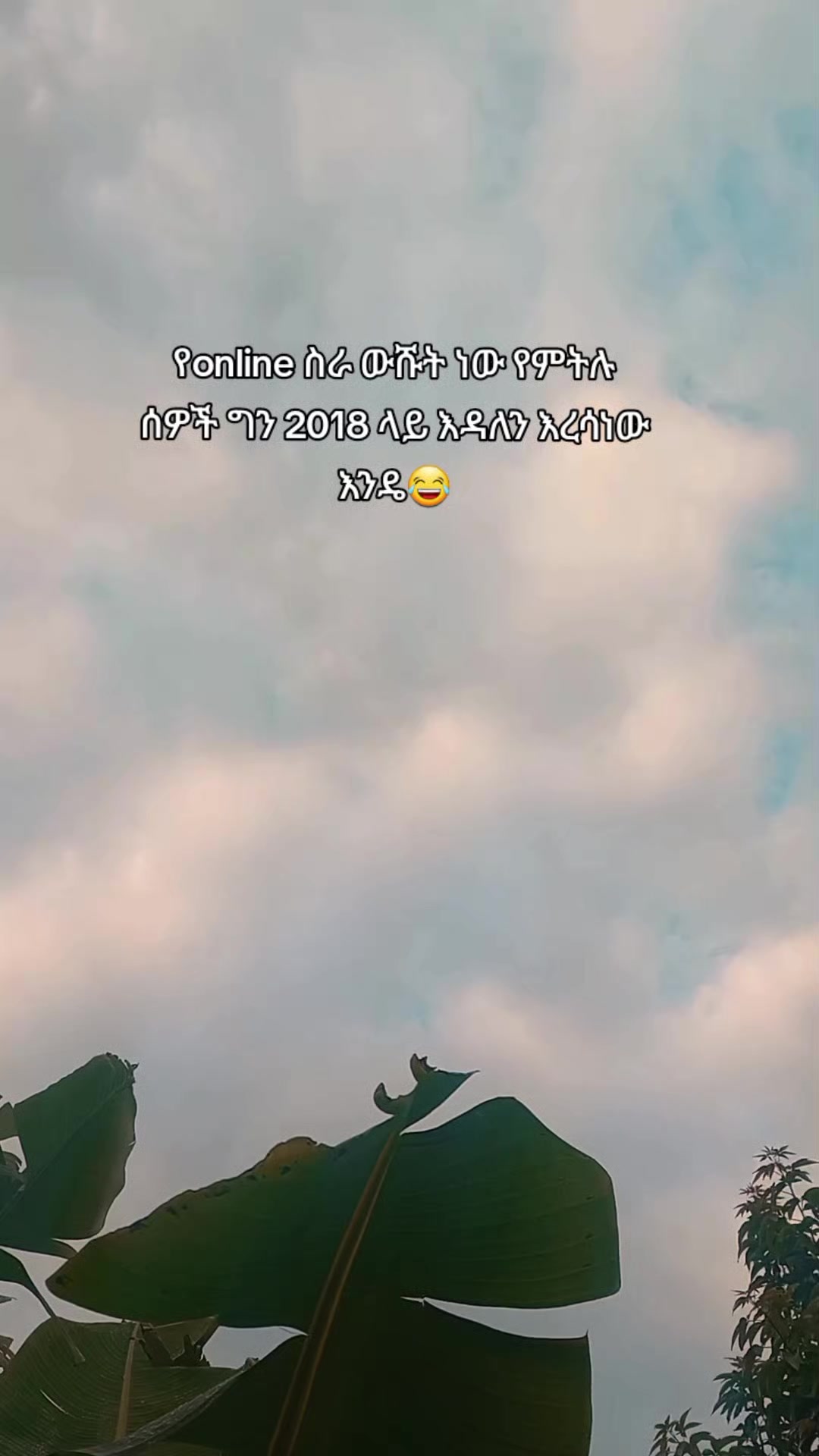 @ᴢᴏʟᴀ✧
