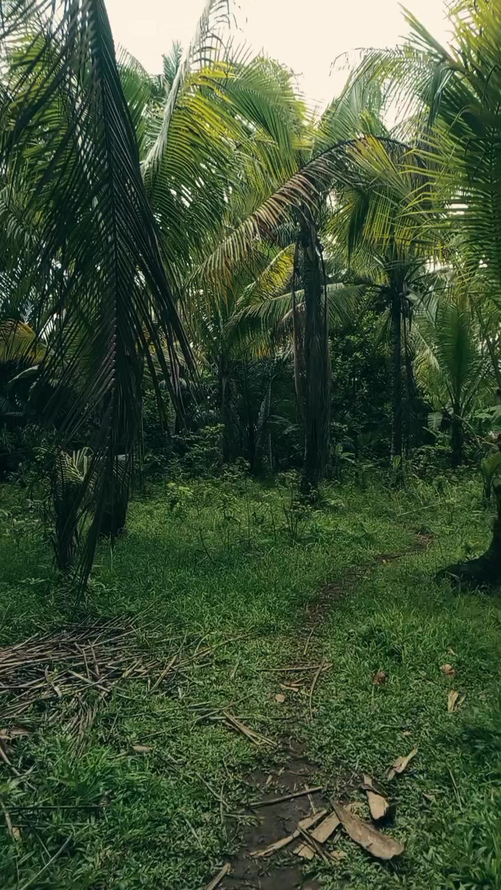 @MO NI CA