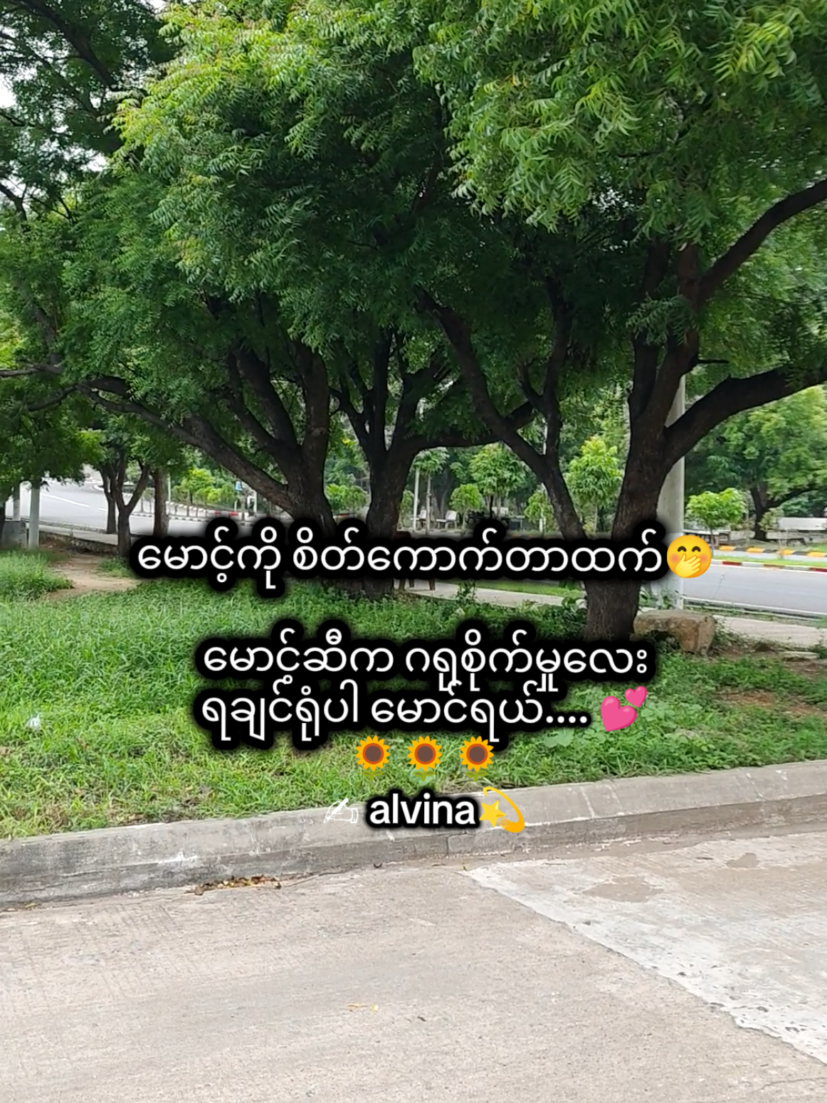 @🇯🇵 Alvina💫(အယ်ဗီနာ)💫🇯🇵