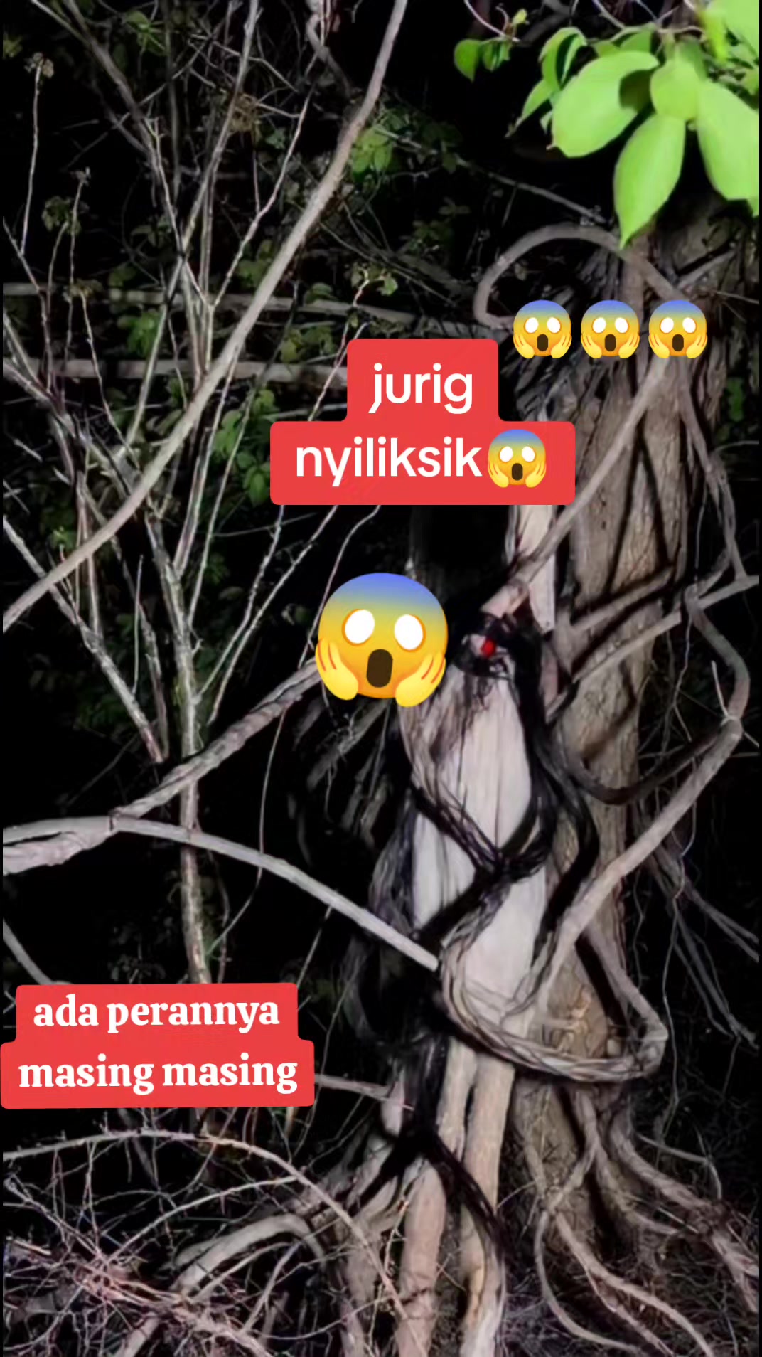 @Syair Angin