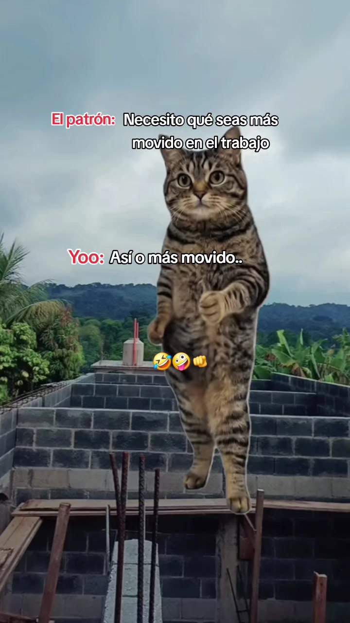 @El Tío Chilio 🧃💯💥💫
