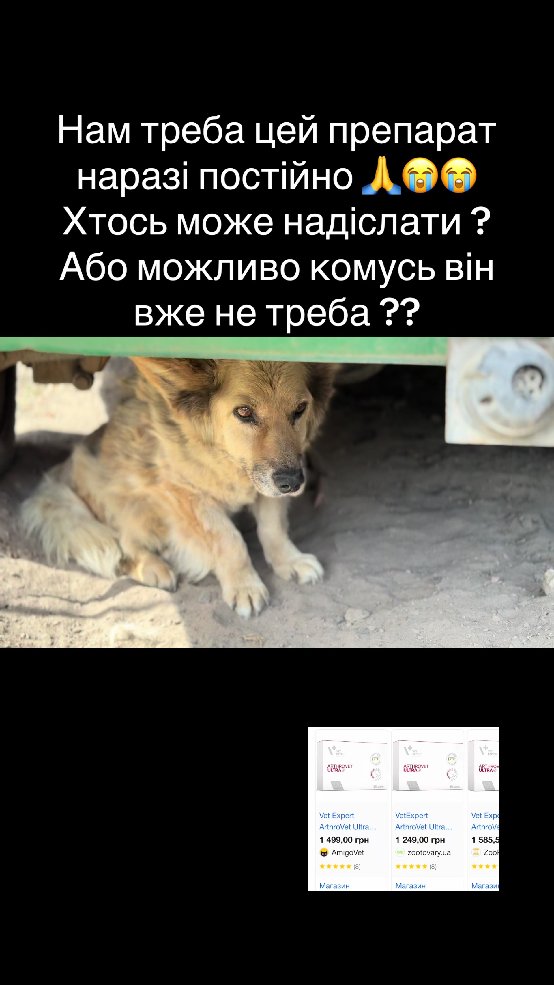 @tanya.help.animal